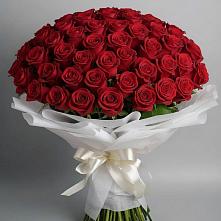 Букет 101 Красная роза Блэк Мэджик в Приморском