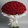 Букет 101 Красная роза Блэк Мэджик в Приморском
