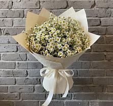 Букет цветов из:  Ромашки #REPLACE_PRED# Приморском