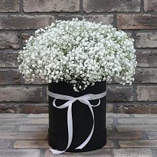 Цветочная композиция из Гипсофила в шляпной коробке в Приморском