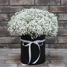 Цветочная композиция из Гипсофила в шляпной коробке в Приморском