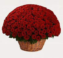 Премиум букет из: Розы в Приморском